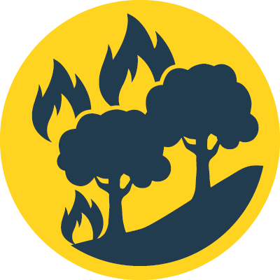 Wildfire and Smoke icon